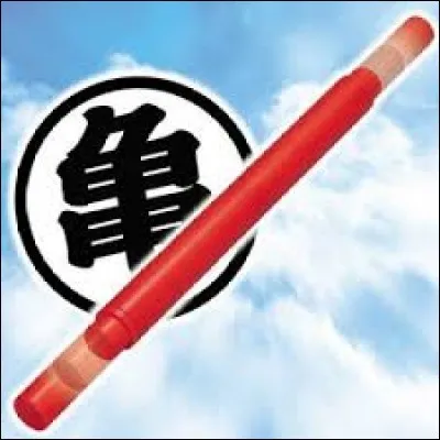 Je sais que tu sais que je sais que tu sais le nom de ce bâton :