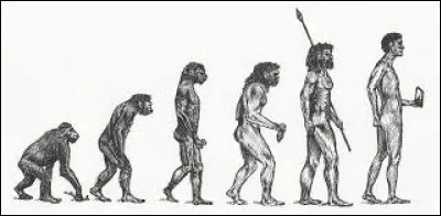 Y a-t-il une origine commune à tous les êtres vivants ?