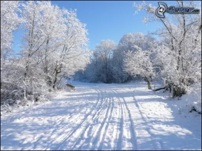 Où poserez-vous vos pneus-neige, si vous n'en avez que deux, et si votre véhicule est à traction avant ?