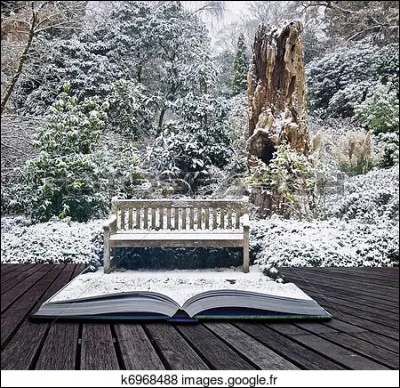 Qu'est-ce qui est sous la Neige dans le roman de Nicolas Vanier qui relate l'histoire d'un jeune paysan américain parti en expédition vers une rivière inconnue de l'Alaska ?