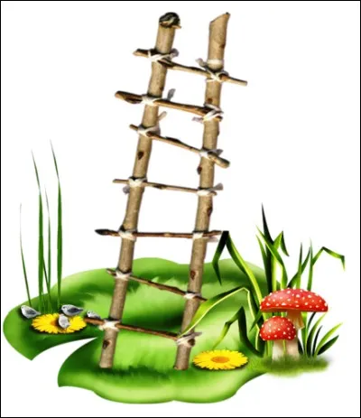 Que mesure l'échelle de Beaufort ?