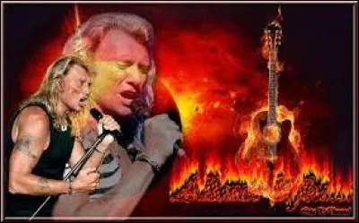 Je veux une chanson de Johnny Hallyday.