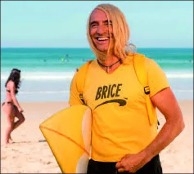 Quelle couleur peut-on associer à Brice de Nice ?