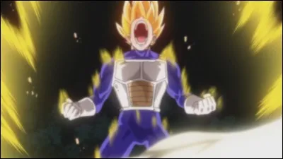 Pourquoi Vegeta s'énerve-t-il face à Beerus ?