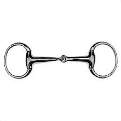 Quel est le nom de ce mors ?