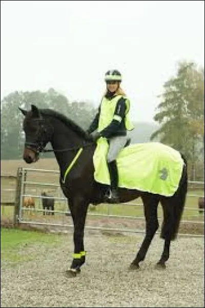 Quelle est la couleur de cet équipement ?