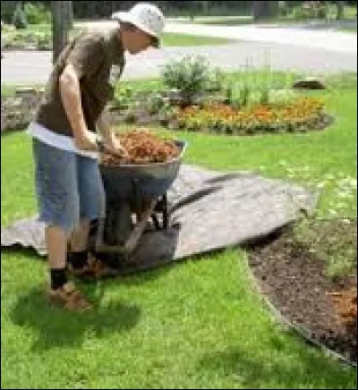 Quel est ce métier ?