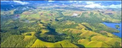 Quelle est la capitale de la Papouasie-Nouvelle-Guinée ?