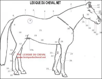 Quelle est la partie num&eacute;ro 1 ?