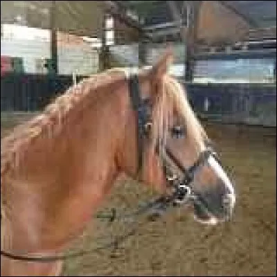 Quelle est cette robe ?