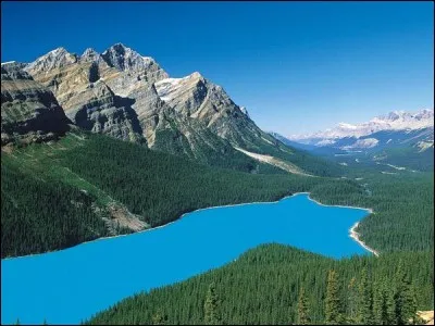 Cette photo a été prise au Canada, dans le parc national...