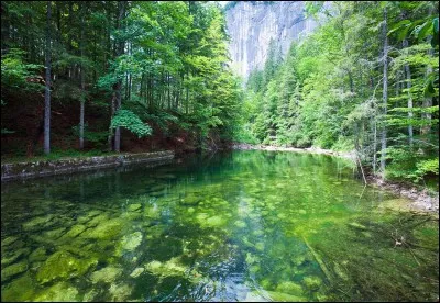 Où se trouve cette magnifique forêt verte, justement surnommé "Le Lac Vert" ?
