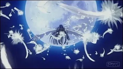 Quel est le nom de cet anime ?