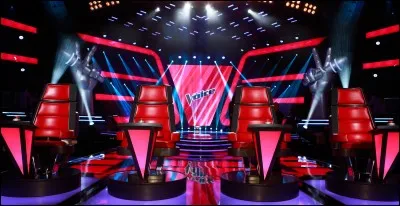 Je veux un chanteur ayant participé à "The Voice" en temps que candidat.