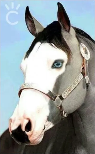 Comment s'appelle cette marque ?