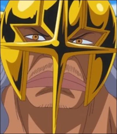 Comment se nomme le fruit du Démon que Pika a mangé ?