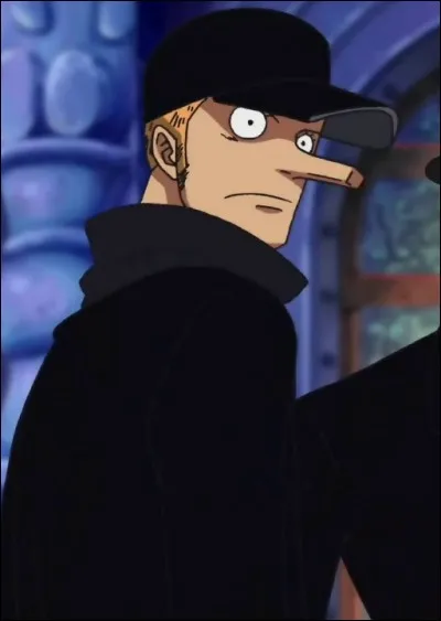 Comment se nomme le fruit du Démon que Kaku a mangé ?