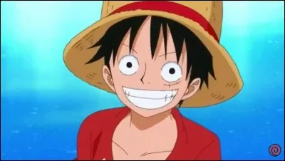 Comment se nomme le fruit du Démon que Luffy a mangé ?