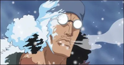 Comment se nomme le fruit du Démon que Aokiji a mangé ?