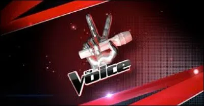 Le nombre de jury à "The Voice" est-il 3 ?