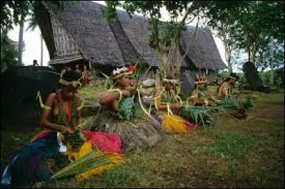 L'île de Yap, qui se trouve en Micronésie et qui se situe plus exactement dans une partie de l'archipel des îles Carolines, dispose d'un système de payement très spécial. Les habitants ne payent pas avec des billets ou des pièces de monnaie. Ah ça, non ! Leur mode de payement est différemment. Quand il s'agit de montants importants, les habitants payent avec...