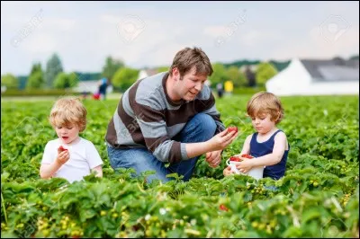 Dans les années 50', un Américain du nom de Robert Lane a nommé son premier enfant Winner, pensant que ce prénom porterait chance à son petit. Quelques années plus tard, il a nommé son deuxième enfant Loser. Sans doute pour voir ce que ça aurait donné. Après tant d'années, pourriez-vous me dire lequel des deux est devenu policier ?