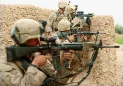 Durant la Guerre du Golfe, qui s'est déroulée du 02 août 1990 jusqu'au 28 février 1991, plusieurs pays sont entrés en guerre. Les conflits ont eu lieu dans quatre pays différents : Irak, Koweït, Arabie saoudite, Israël. Durant ces hostilités, plusieurs puits de pétrole ont été incendiés par l'armée irakienne. Combien en compte-t-on en tout ?