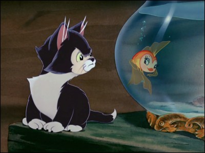 Figaro, dans « Pinocchio » l'est comme un tigre. Mais, au fait, comment est-il ?
