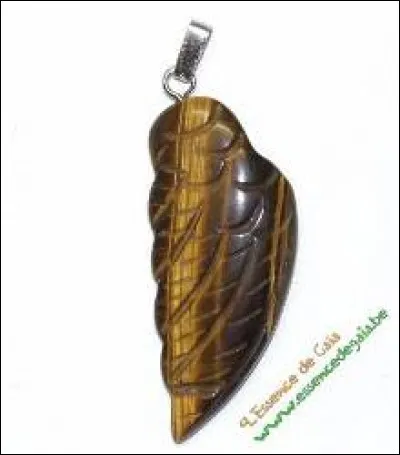 Pourquoi des légionnaires romains portaient-ils des amulettes d'une pierre appelée « il-de-tigre » ?