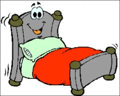 Vous faites votre lit tous les matins sans exception, vous n'aimez ni le désordre ni l'idée de coucher dans des draps froissés.