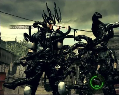 Quel est ce parasite ?