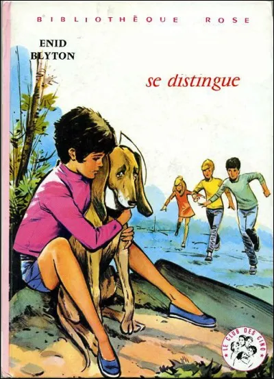 Un livre pour Noël qui a connu beaucoup de succès explique le Père Noël !