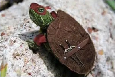 Quel est l'animal le plus dangereux au monde ?