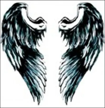 Qu'est-ce qui vole et qui n'a pas d'ailes ?