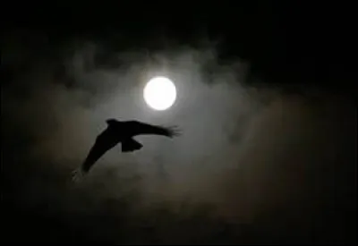 Qu'est-ce qui tombe sans se faire mal ?