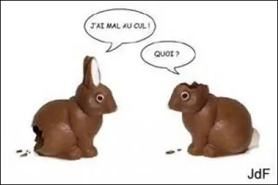 Comment appelle-t-on un lapin sourd ?