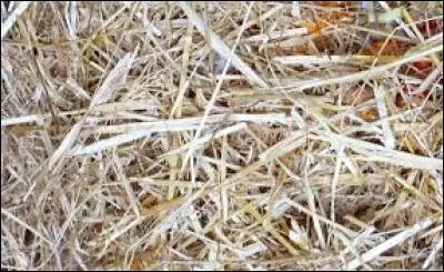 Quand dit-on d'une personne qu'elle "est sur la paille" ?