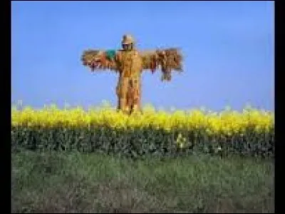 Que désigne "Un homme de paille" ?