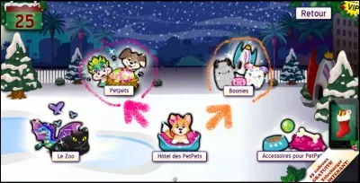 Qu'est-ce qu'un PetPet ?