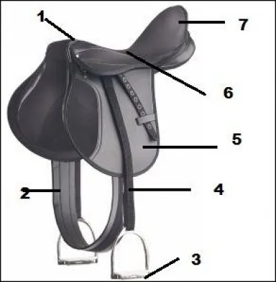 Comment s'appelle l'endroit désigné par le numéro 2 (sur l'image) ?