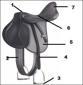 Quiz Galop 1