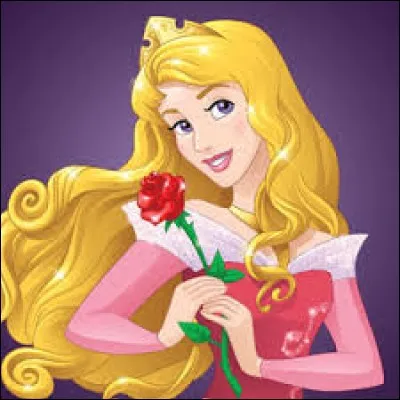 Quel est le prénom de la Belle au Bois dormant ?