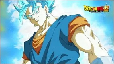 Pourquoi la fusion Vegeto SSJBlue s'est-elle arrêtée ?