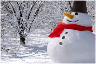 Habituellement, quel objet n'est pas utilisé pour réaliser un bonhomme de neige ?