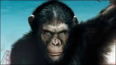 Terminons en beauté avec une série adepte des singeries :