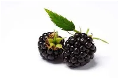 Cet aliment est une __.