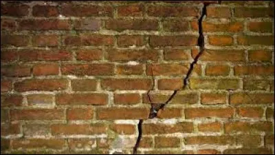 Ce __ est très gros.