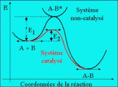 Il existe la catalyse enzymatique, homogène et...