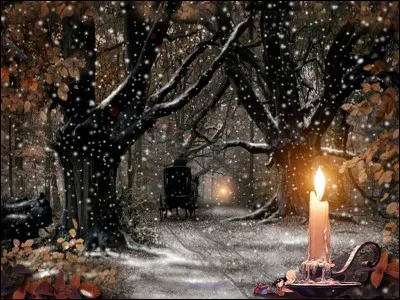 Noël, ça les gave.