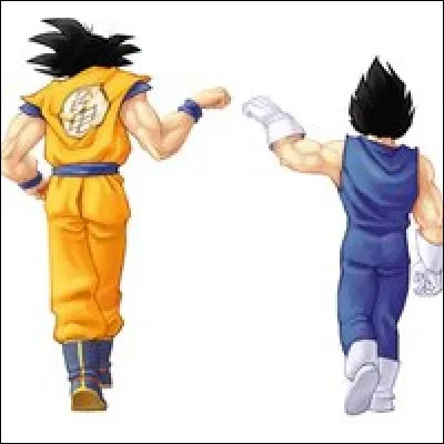 Comment fusionnent Vegeta et Goku face &agrave; Black Zamazu ?